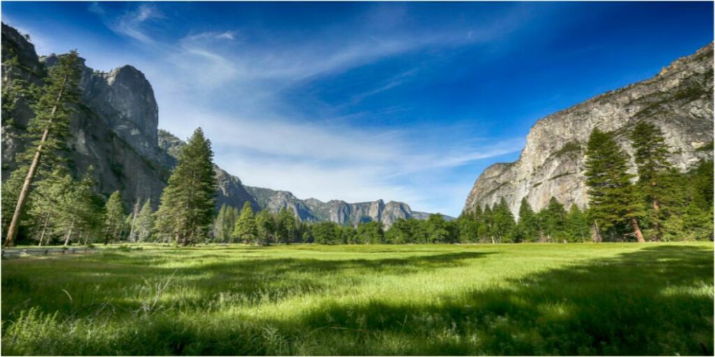 san francisco to yosemite bus tour