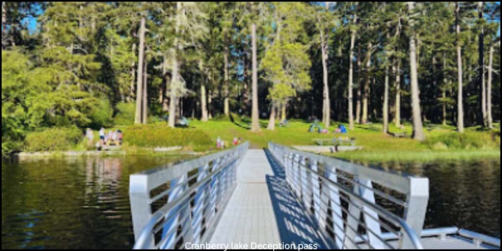 Cranberry lake campground