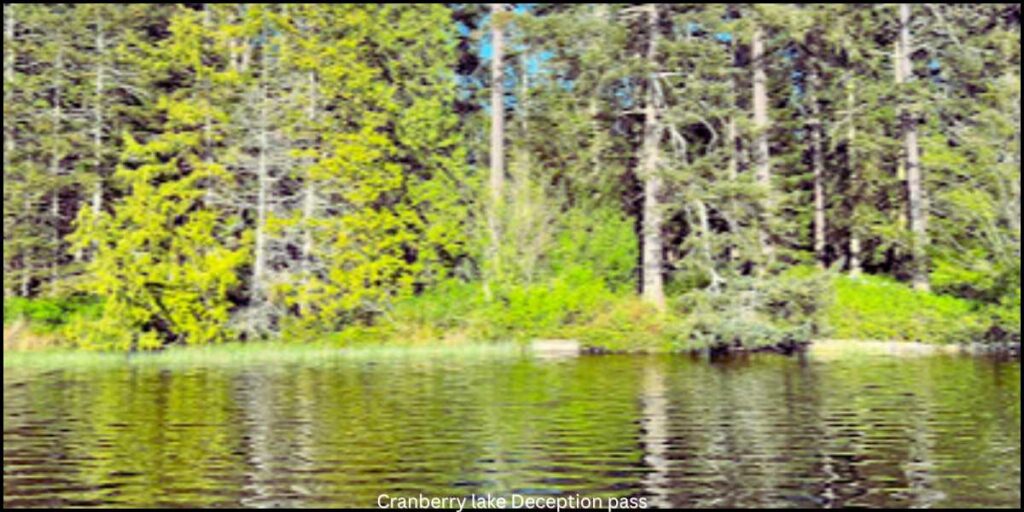 Cranberry lake Campground