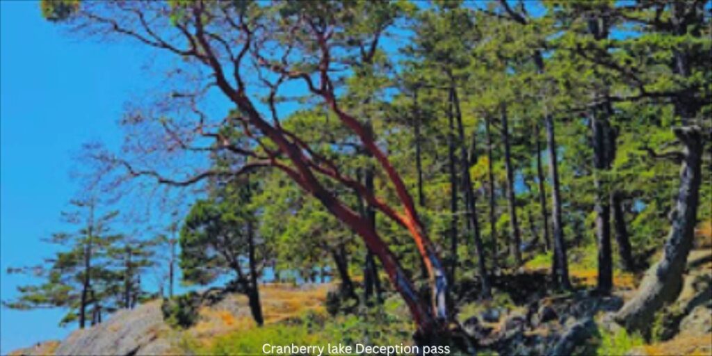 Cranberry lake Campground